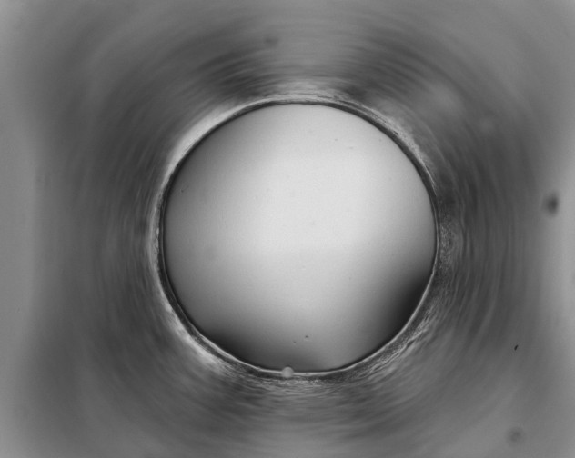 X0000097971387200804071046