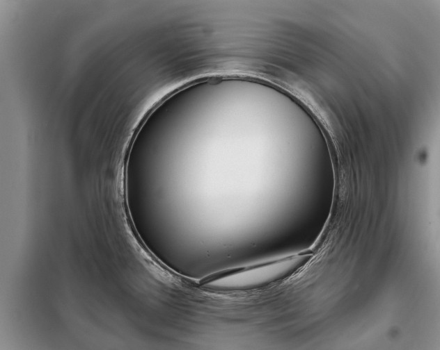 X0000097971388200804071046