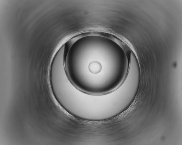 X0000097971389200804071046