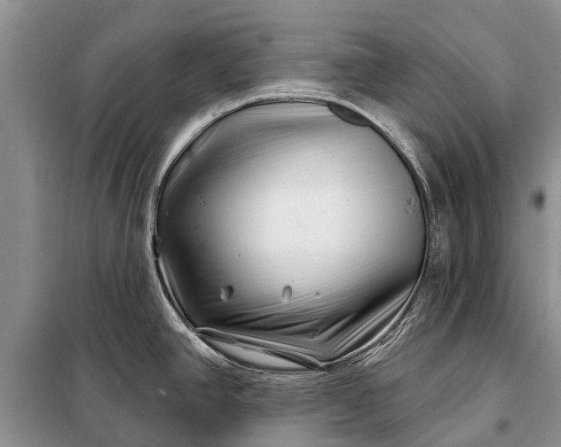 X0000097971390200804071046