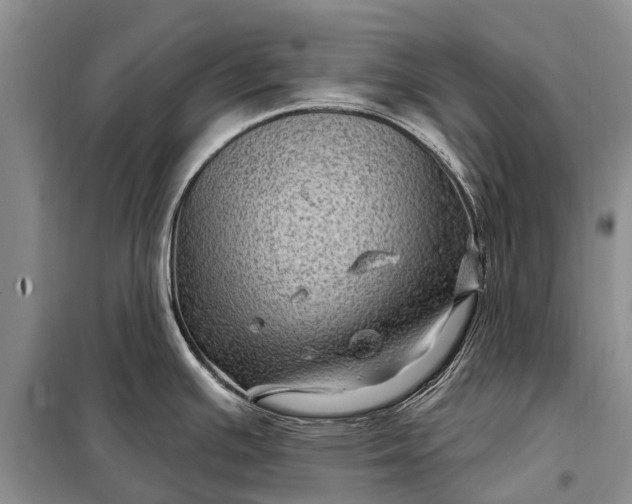 X0000097971391200804071046