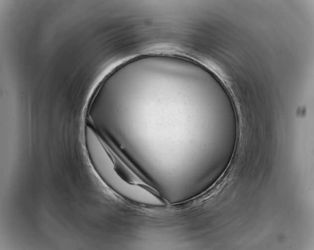 X0000097971392200804071046