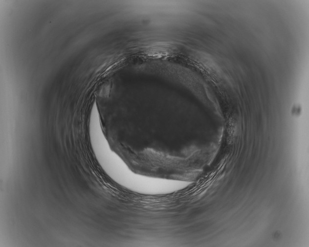 X0000097971394200804071045