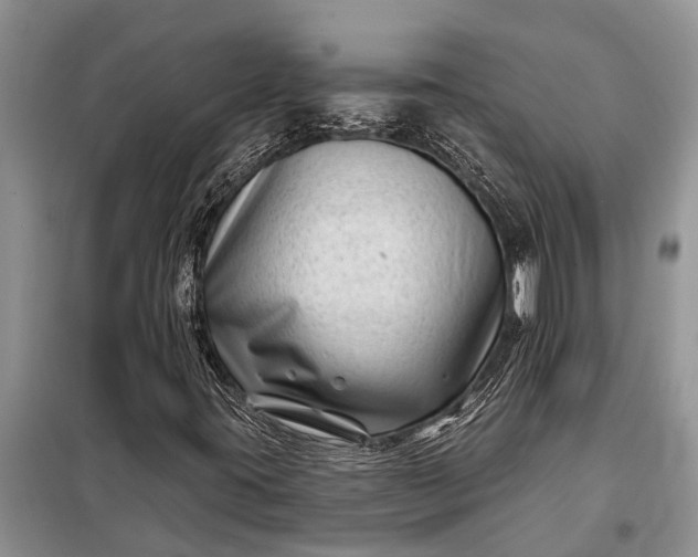 X0000097971395200804071045