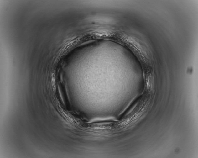 X0000097971396200804071045