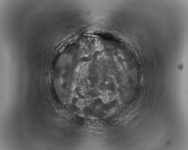 X0000097971397200804071045