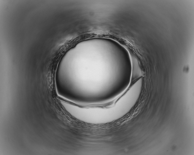 X0000097971398200804071045