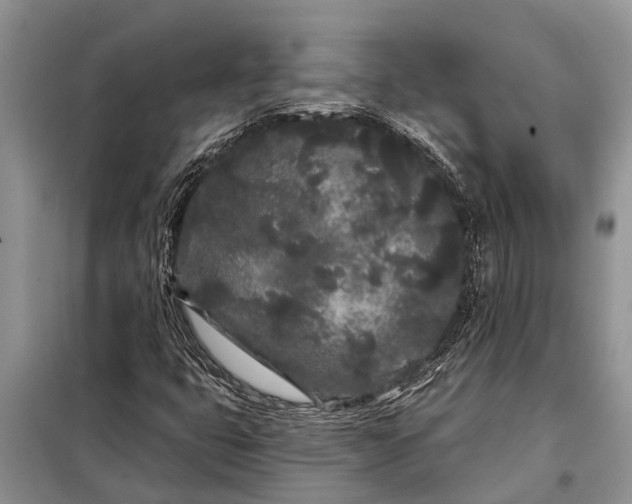 X0000097971399200804071045