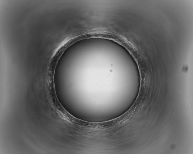 X0000097971400200804071045