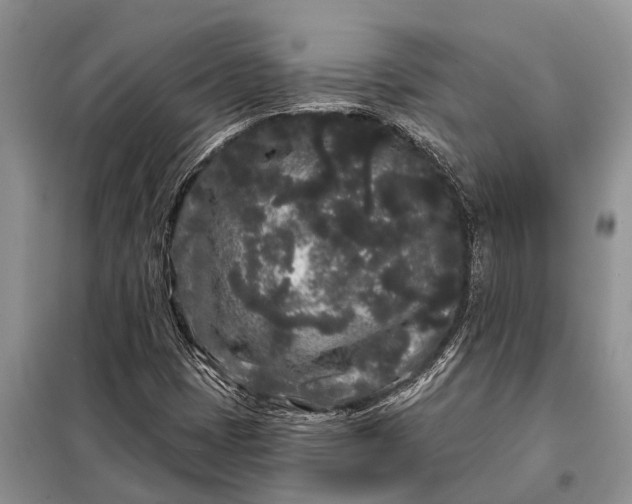 X0000097971401200804071045