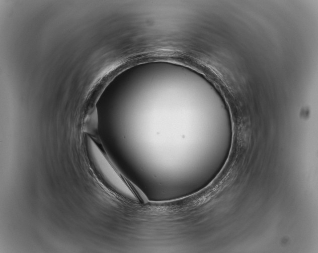 X0000097971402200804071045