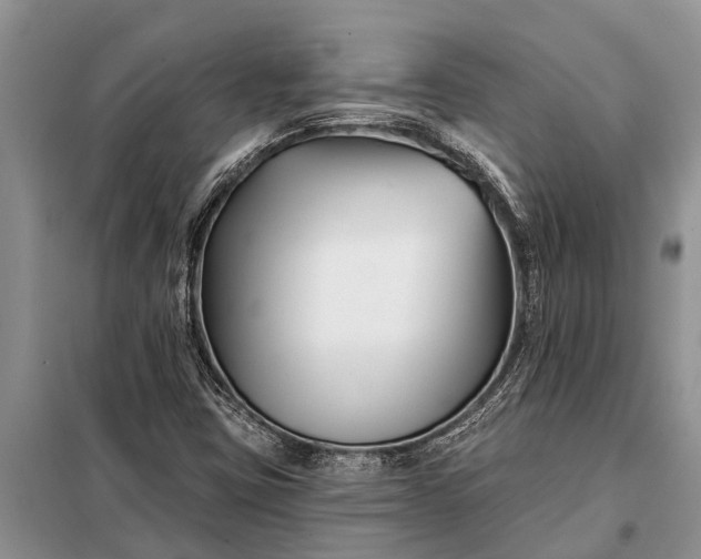 X0000097971403200804071045