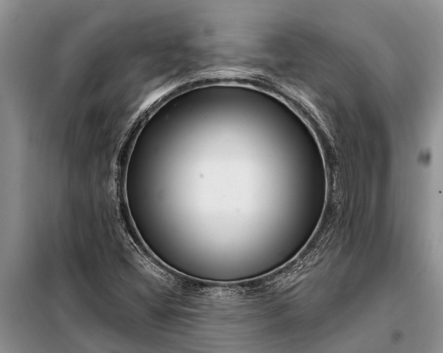 X0000097971404200804071045