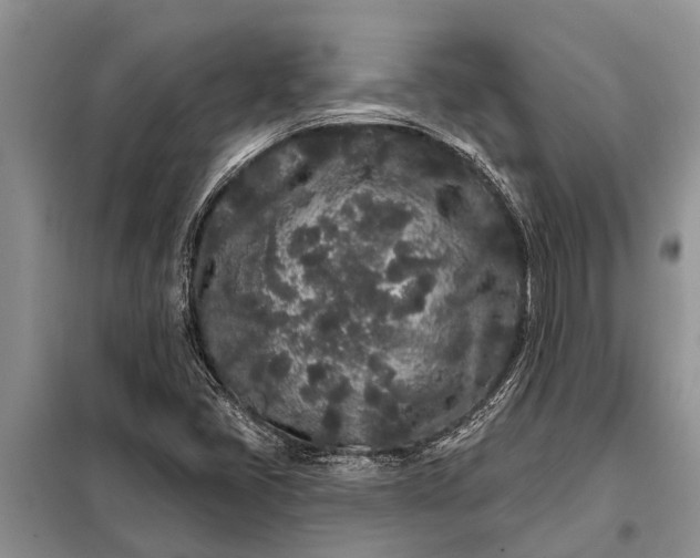 X0000097971405200804071045