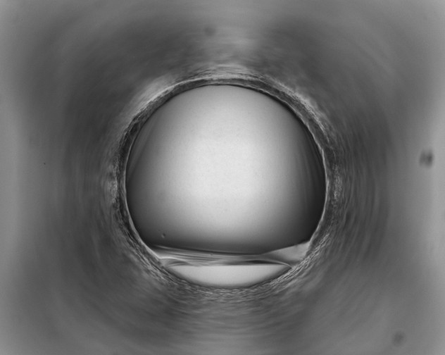 X0000097971407200804071045