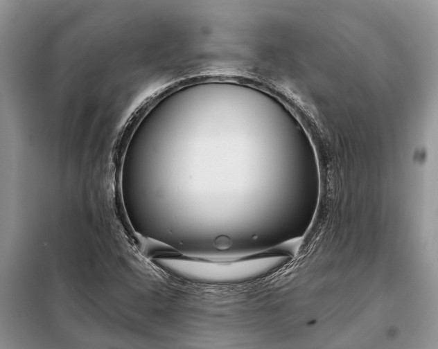 X0000097971408200804071046