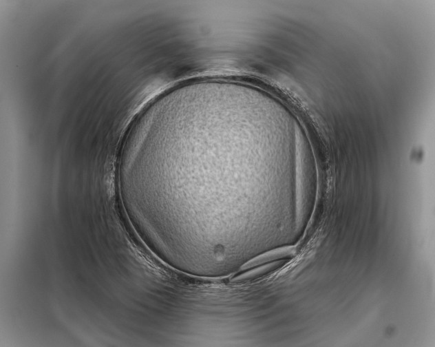 X0000097971409200804071046