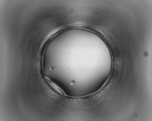 X0000097971410200804071046