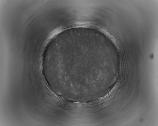 X0000097971411200804071046