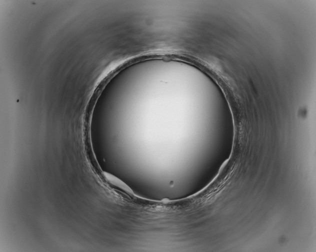 X0000097971412200804071046