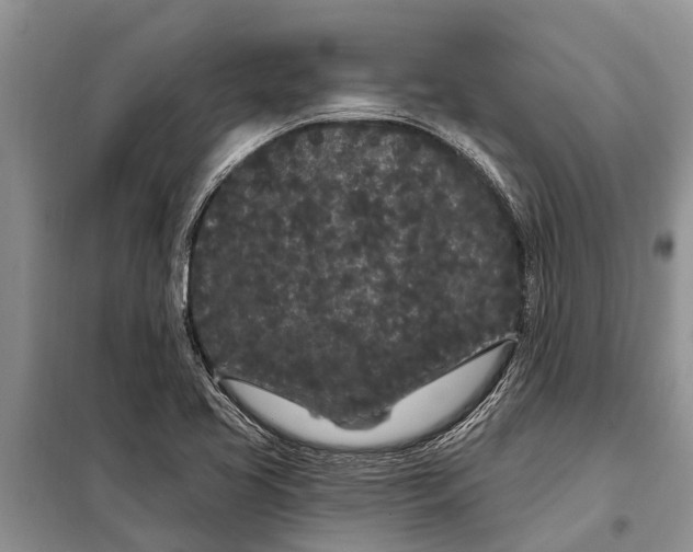 X0000097971413200804071046