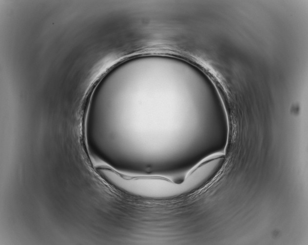 X0000097971415200804071046