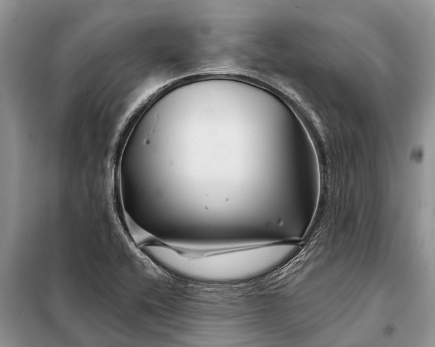 X0000097971416200804071046