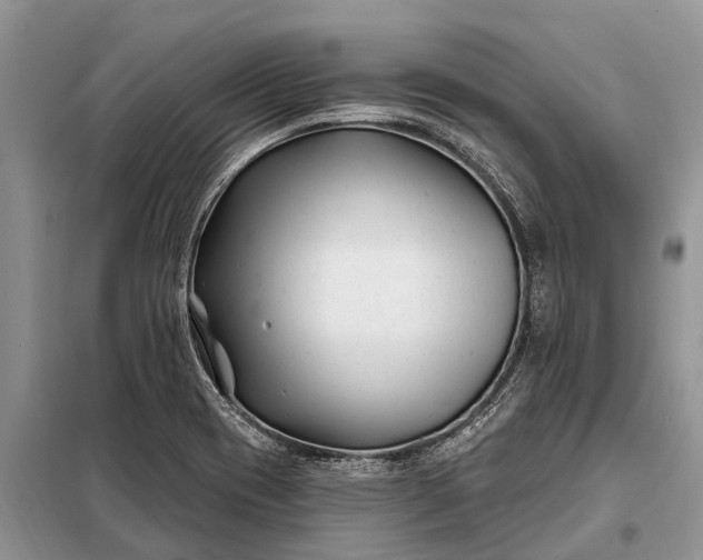 X0000097971417200804071046