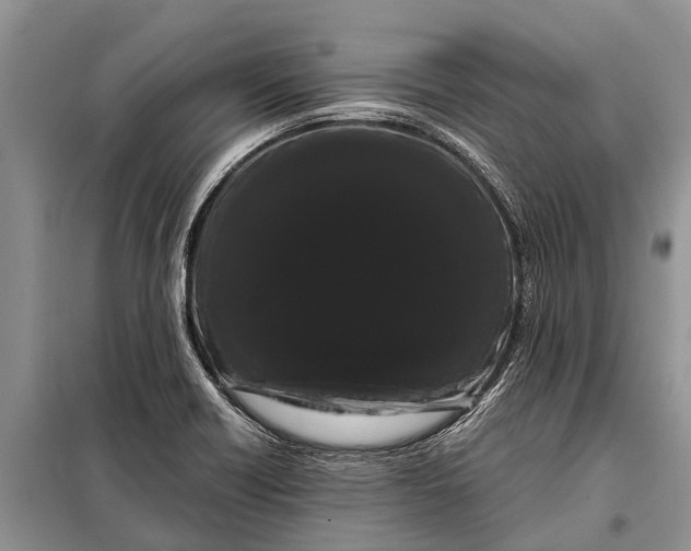 X0000097971418200804071046