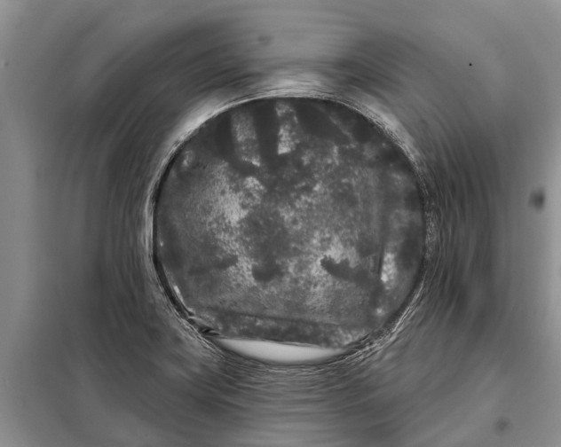 X0000097971419200804071046