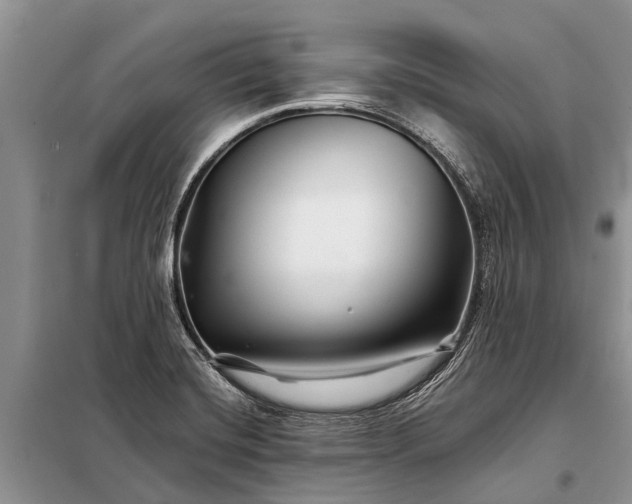 X0000097971420200804071046