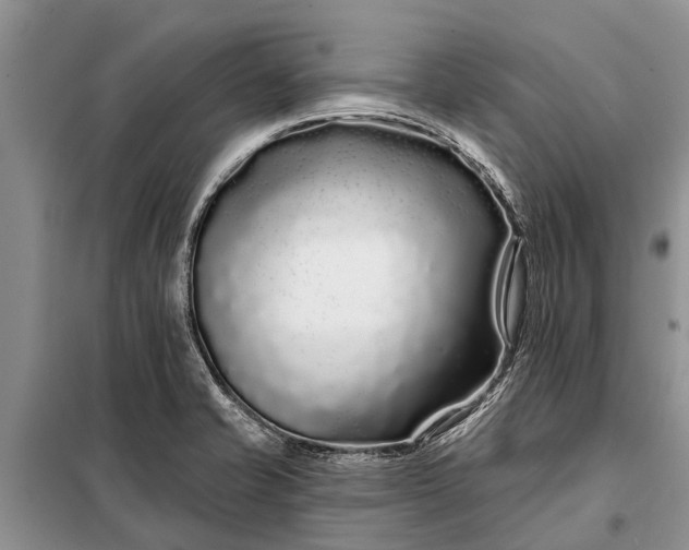 X0000097971421200804071046