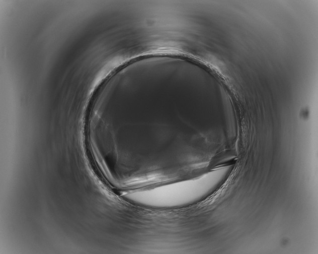 X0000097971422200804071046