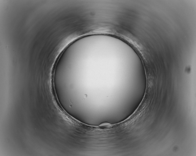 X0000097971423200804071046