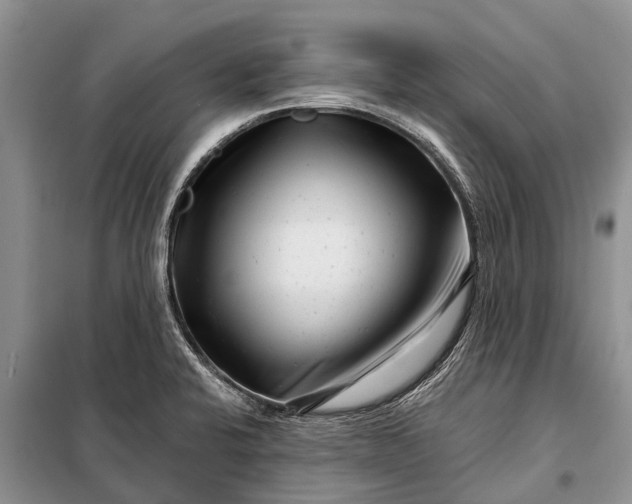 X0000097971424200804071046