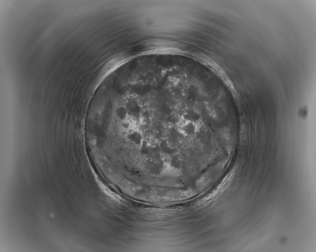 X0000097971425200804071046