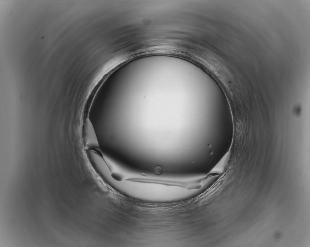 X0000097971426200804071046