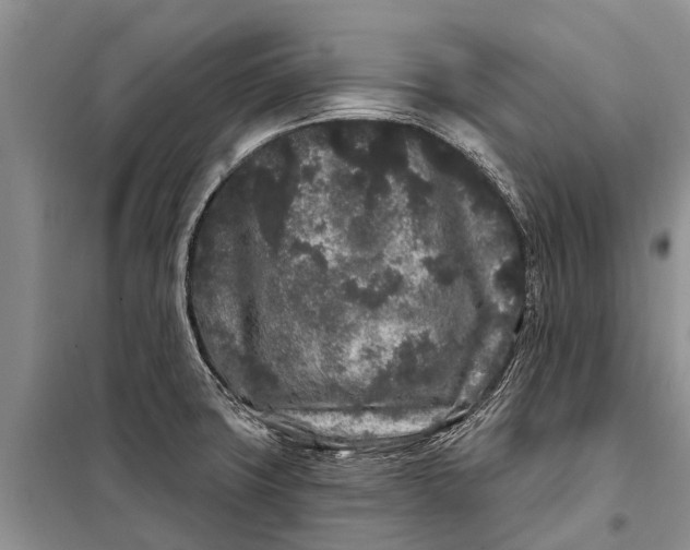 X0000097971427200804071046