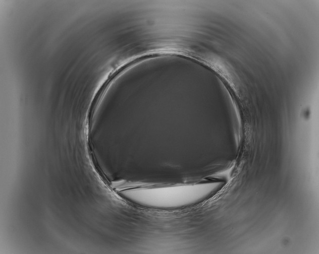 X0000097971428200804071046