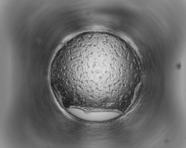 X0000097971429200804071046