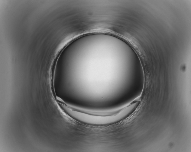 X0000097971430200804071046