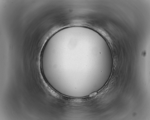 X0000097971431200804071046