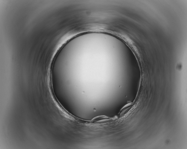 X0000097971432200804071046