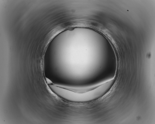 X0000097971433200804071046