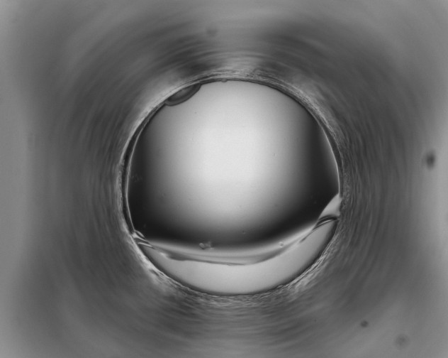 X0000097971434200804071046