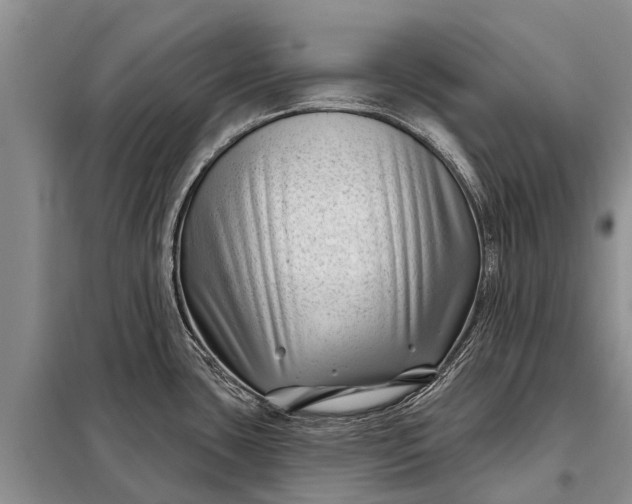 X0000097971435200804071046