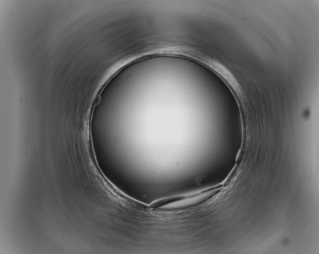 X0000097971436200804071046