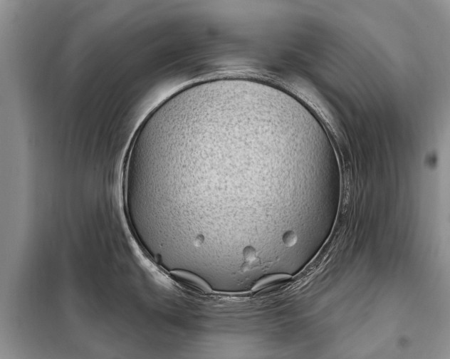 X0000097971439200804071046