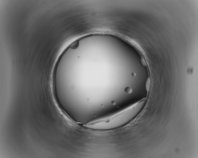 X0000097971440200804071046