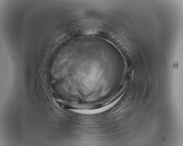 X0000097971441200804071045